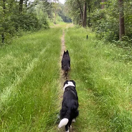 Zelfstandige Met Hottub Appartement