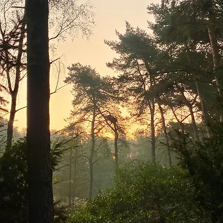 Zelfstandige Met Hottub Appartement *