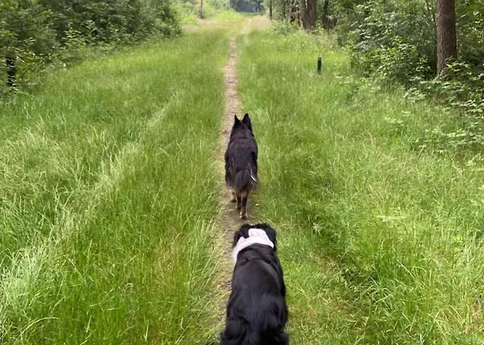 Zelfstandige Met Hottub Apartamento