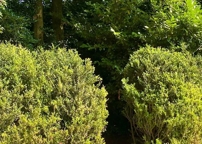 Zelfstandige Met Hottub Apartamento Merselo