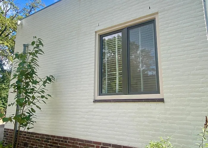 Zelfstandige Met Hottub Merselo