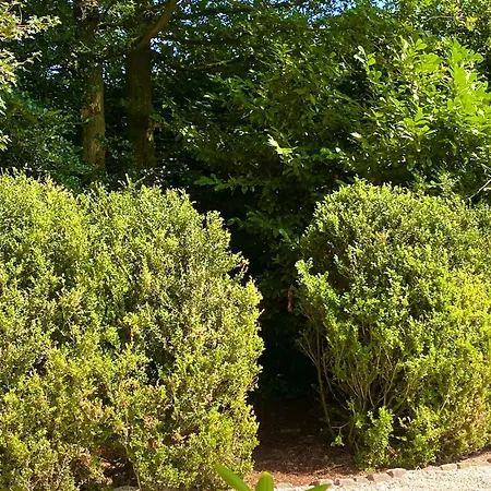 Zelfstandige Met Hottub شقة Merselo