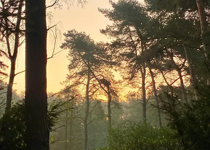 Zelfstandige Met Hottub Daire *